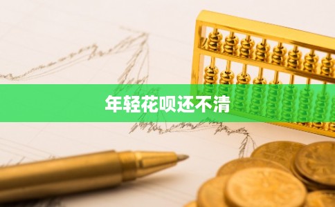 年轻花呗还不清