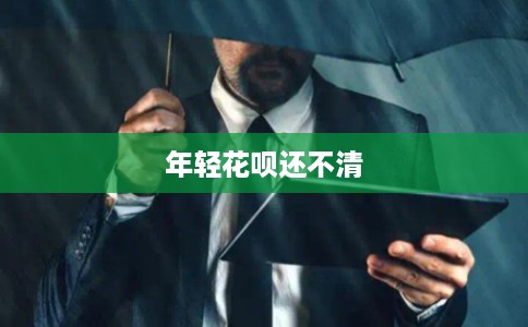 年轻花呗还不清
