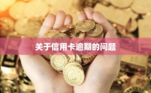 关于信用卡逾期的问题