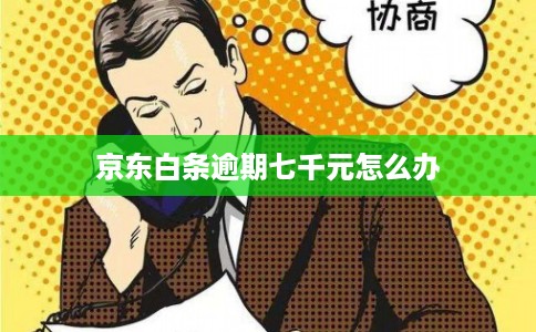 京东白条逾期七千元怎么办