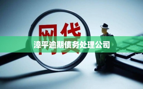 漳平逾期债务处理公司
