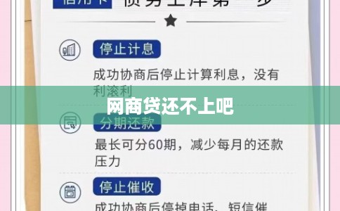 网商贷还不上吧