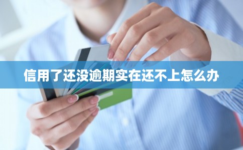 信用了还没逾期实在还不上怎么办