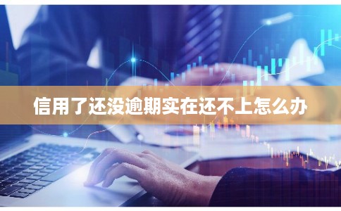 信用了还没逾期实在还不上怎么办