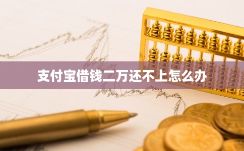 支付宝借钱二万还不上怎么办