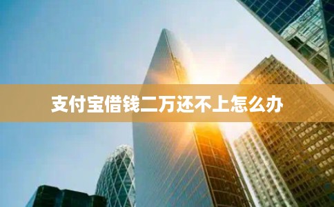 支付宝借钱二万还不上怎么办
