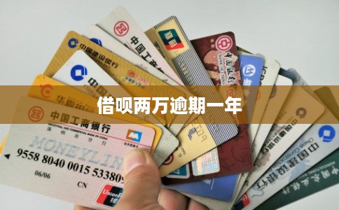 借呗两万逾期一年
