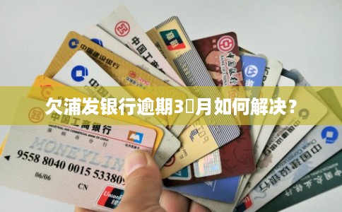 欠浦发银行逾期3個月如何解决？