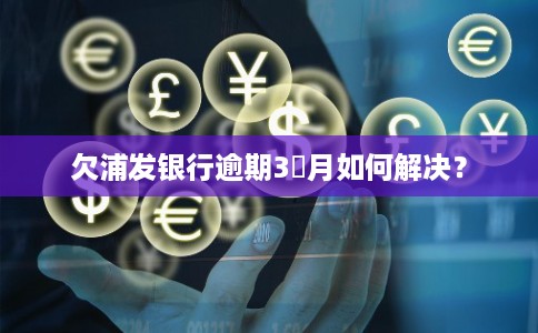 欠浦发银行逾期3個月如何解决？