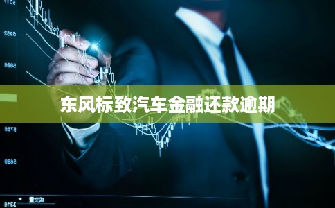 东风标致汽车金融还款逾期