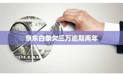 京东白条欠三万逾期两年