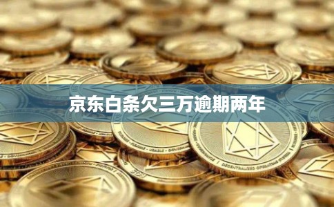 京东白条欠三万逾期两年