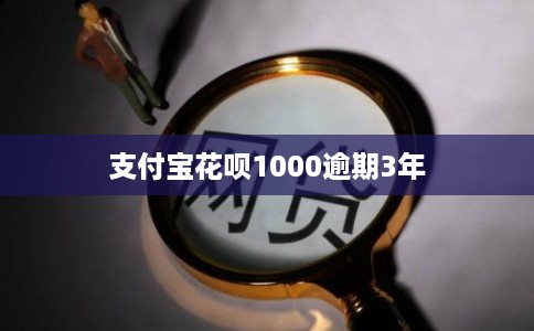 支付宝花呗1000逾期3年