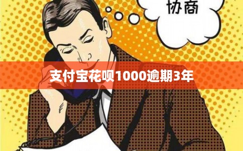 支付宝花呗1000逾期3年