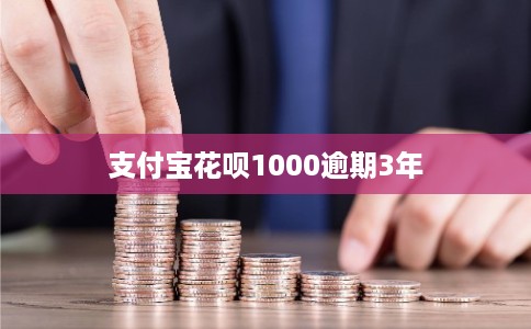 支付宝花呗1000逾期3年