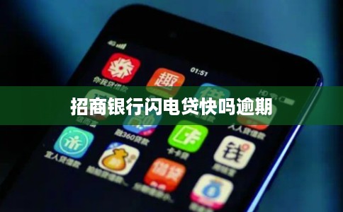 招商银行闪电贷快吗逾期