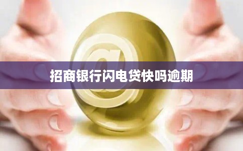 招商银行闪电贷快吗逾期