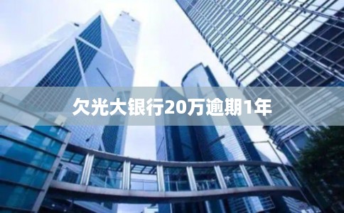 欠光大银行20万逾期1年