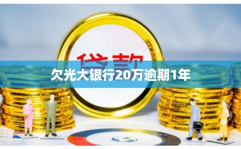 欠光大银行20万逾期1年