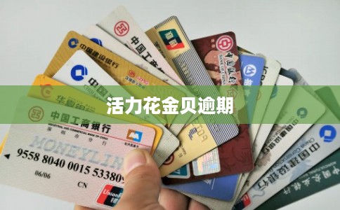 活力花金贝逾期