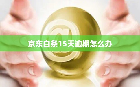 京东白条15天逾期怎么办