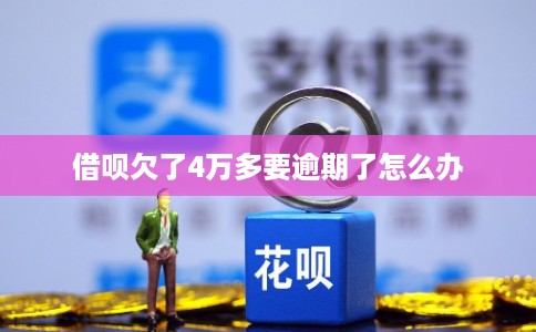 借呗欠了4万多要逾期了怎么办