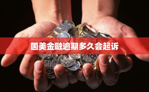 国美金融逾期多久会起诉