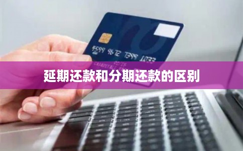 延期还款和分期还款的区别