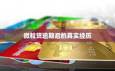 微粒贷逾期后的真实经历