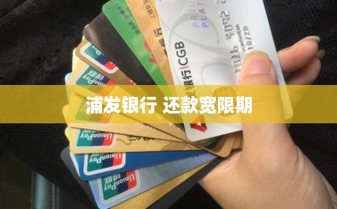 浦发银行 还款宽限期