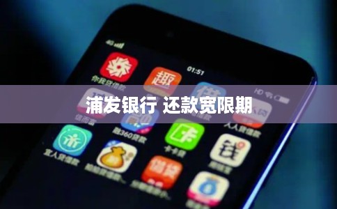 浦发银行 还款宽限期