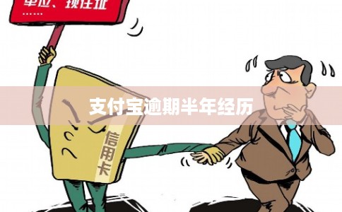 支付宝逾期半年经历