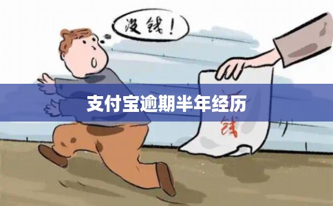 支付宝逾期半年经历