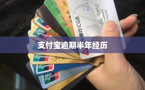 支付宝逾期半年经历