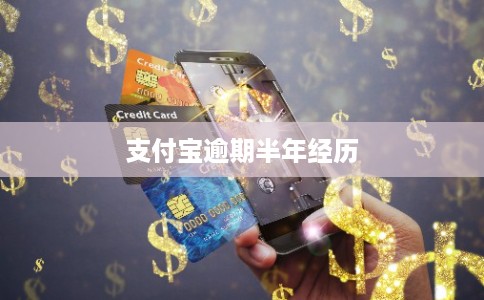 支付宝逾期半年经历