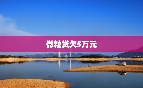 微粒贷欠5万元