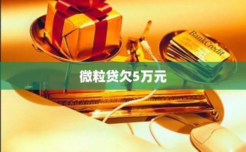 微粒贷欠5万元