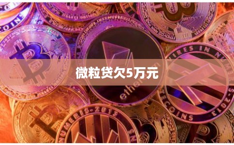 微粒贷欠5万元