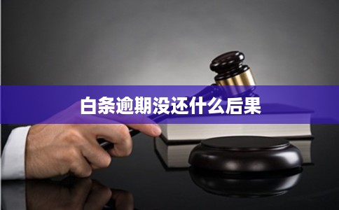 白条逾期没还什么后果