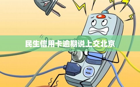 民生信用卡逾期说上交北京