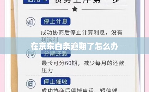 在京东白条逾期了怎么办