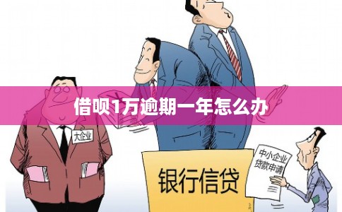借呗1万逾期一年怎么办