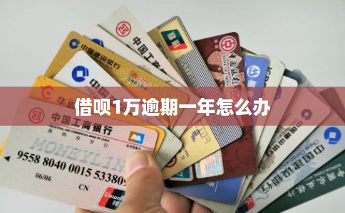 借呗1万逾期一年怎么办