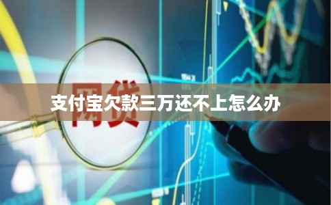 支付宝欠款三万还不上怎么办