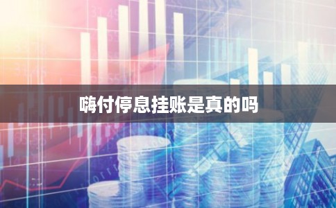嗨付停息挂账是真的吗