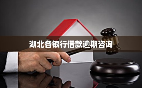 湖北各银行借款逾期咨询