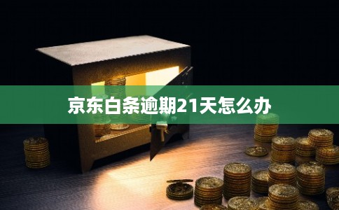 京东白条逾期21天怎么办