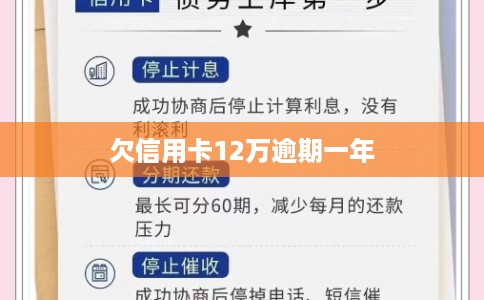 欠信用卡12万逾期一年