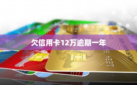 欠信用卡12万逾期一年