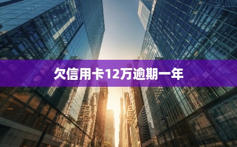 欠信用卡12万逾期一年